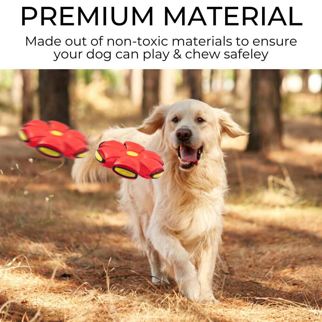 Shop the Latest – Tech & Pets